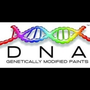 dna auto paint (19)-min