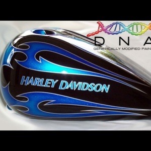 dna auto paint (7)-min